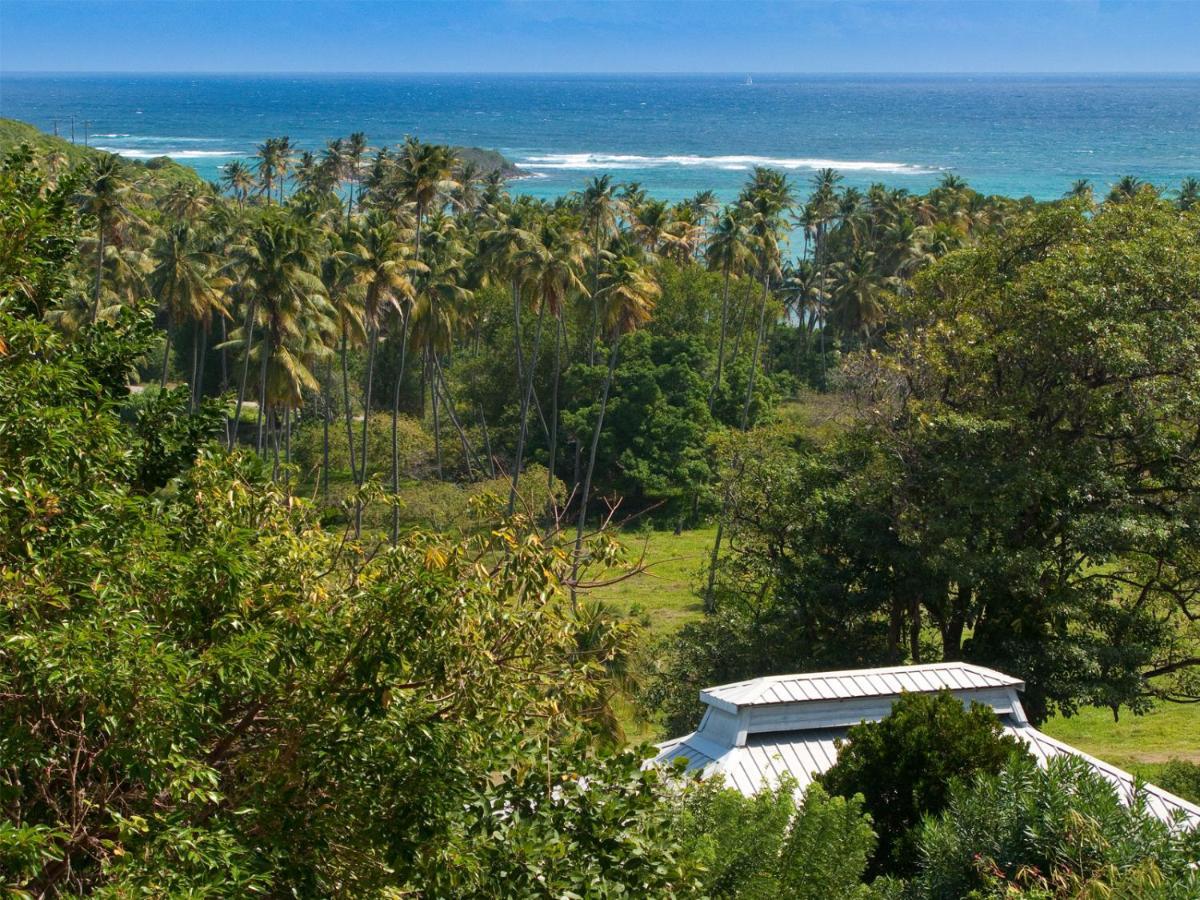 Hotel Firefly Estate Bequia Crescent Beach Exterior foto