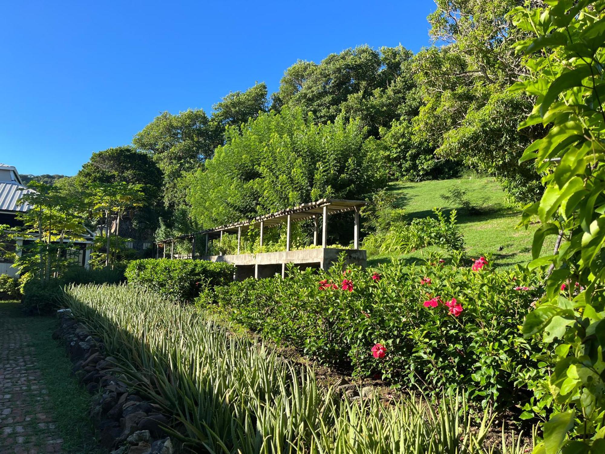Hotel Firefly Estate Bequia Crescent Beach Exterior foto