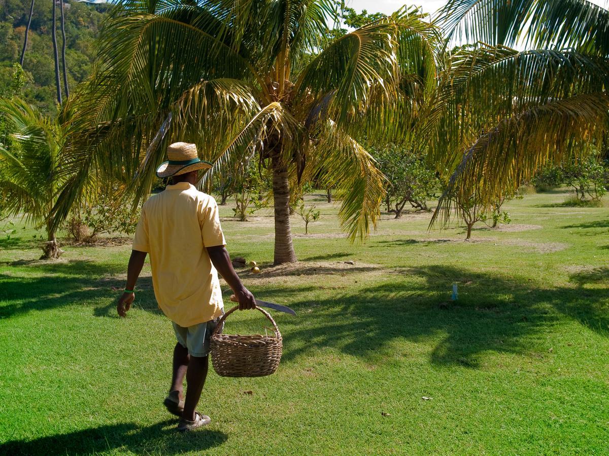 Hotel Firefly Estate Bequia Crescent Beach Exterior foto